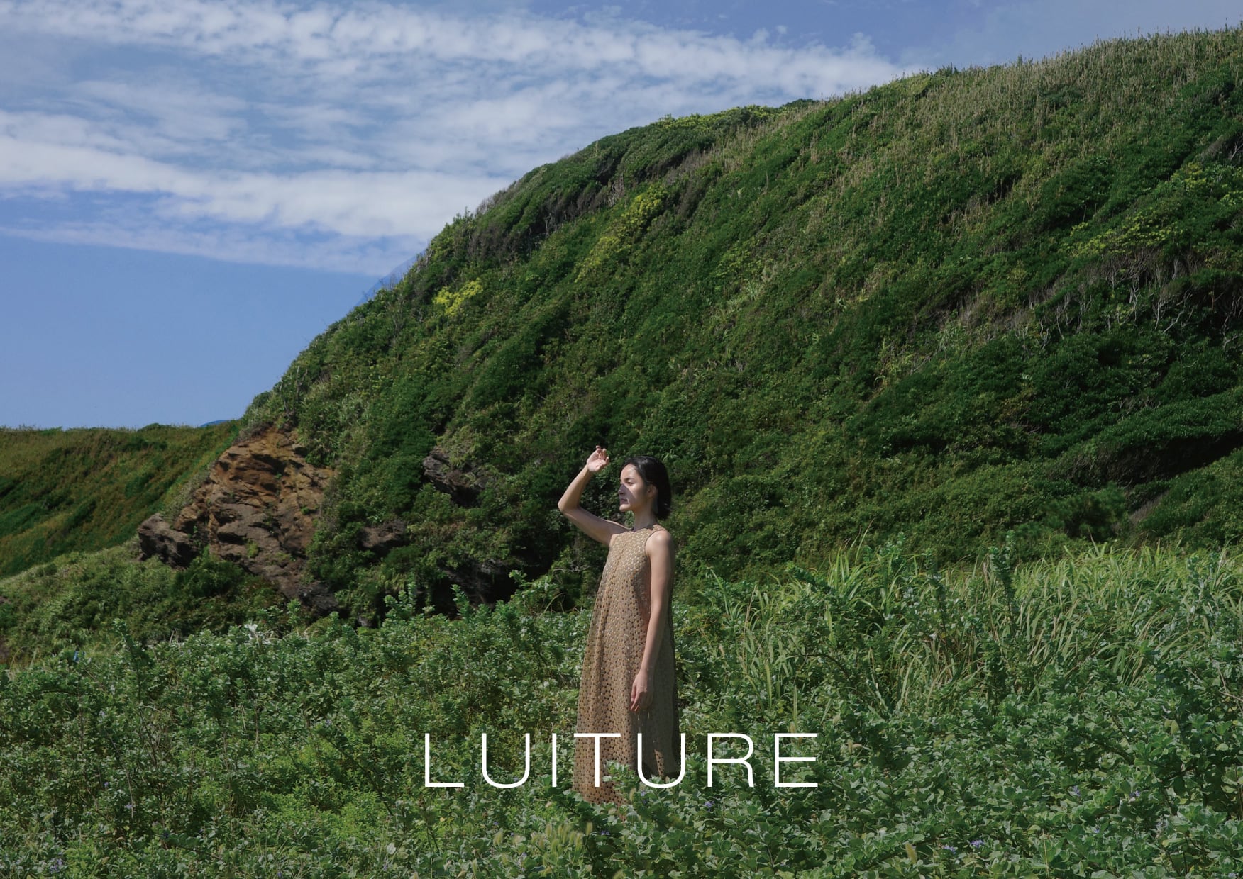 LUITURE
