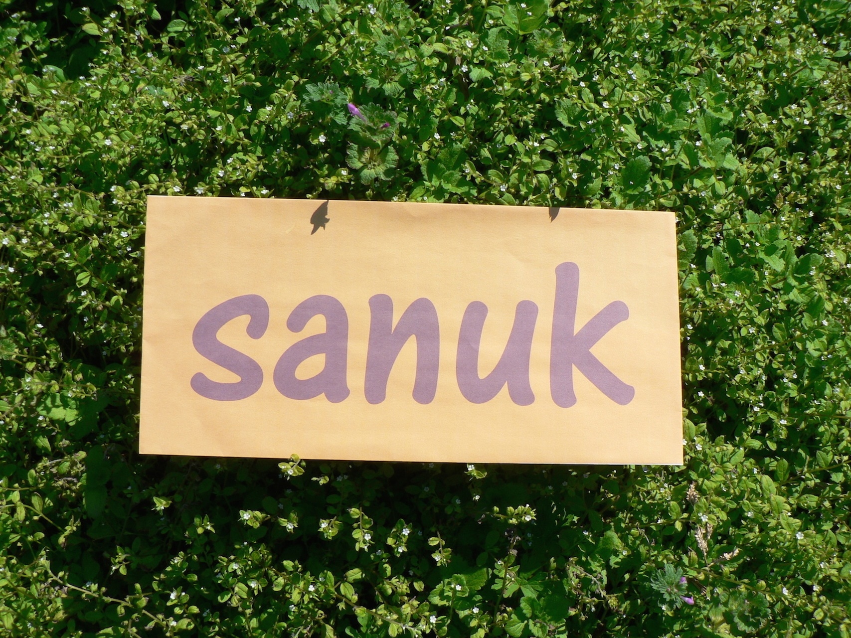 sanuk