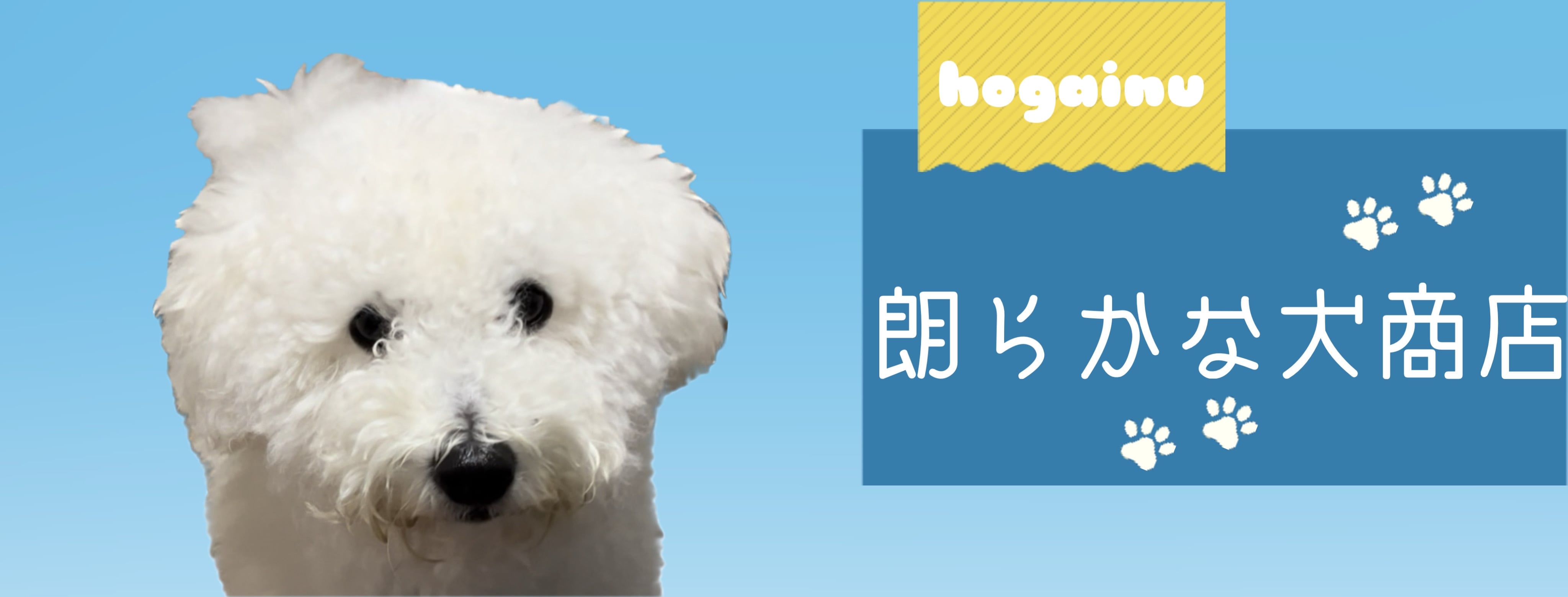 朗らかな犬商店