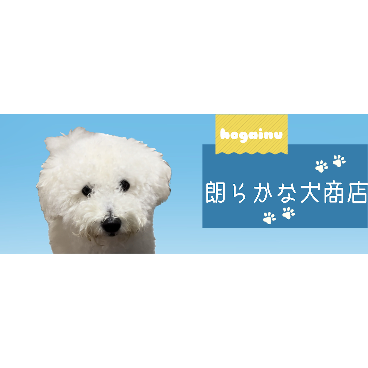 朗らかな犬商店