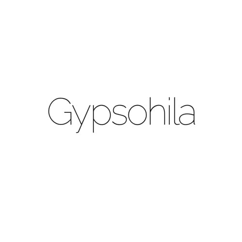 gypsohilaキャミドレス