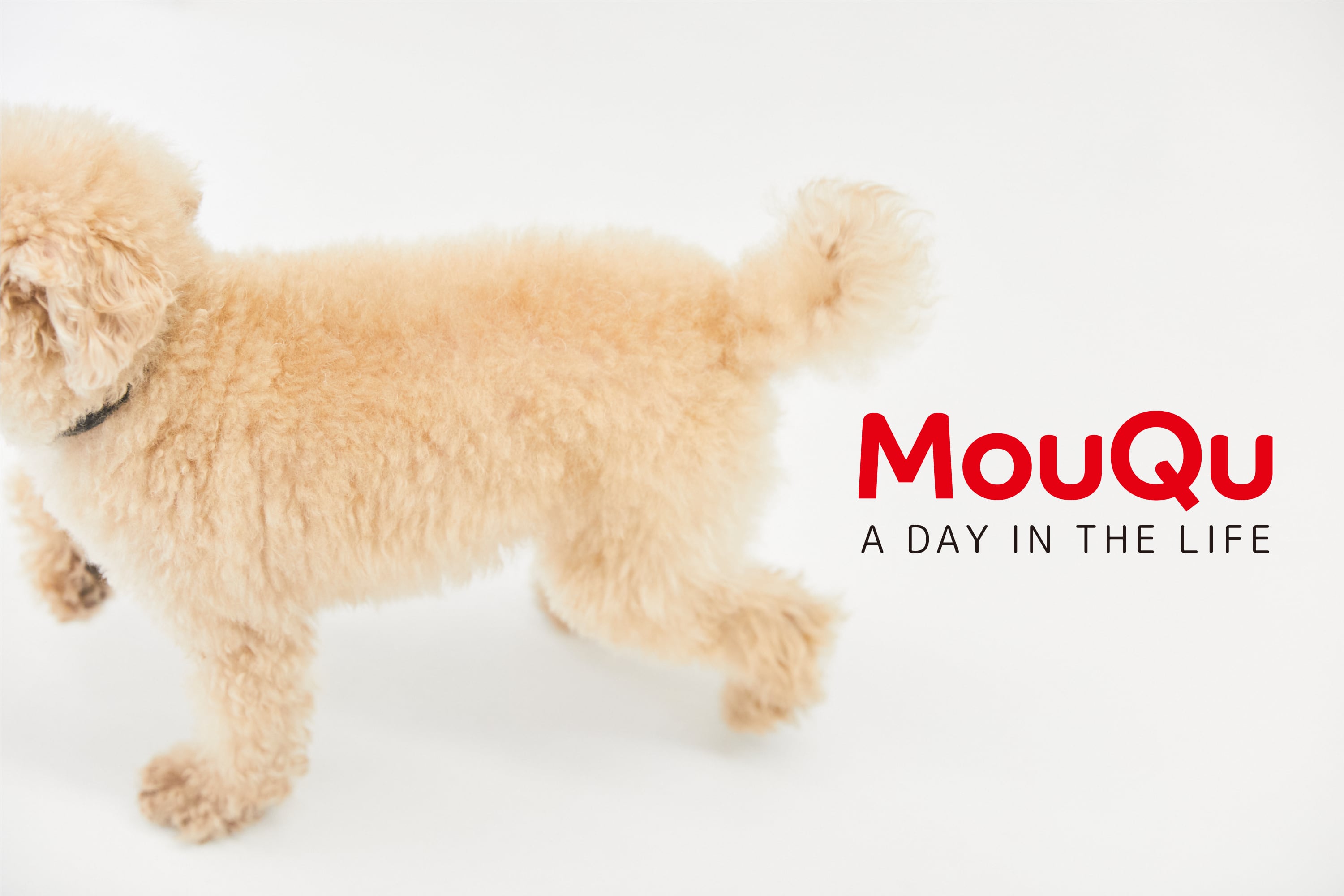 MouQu