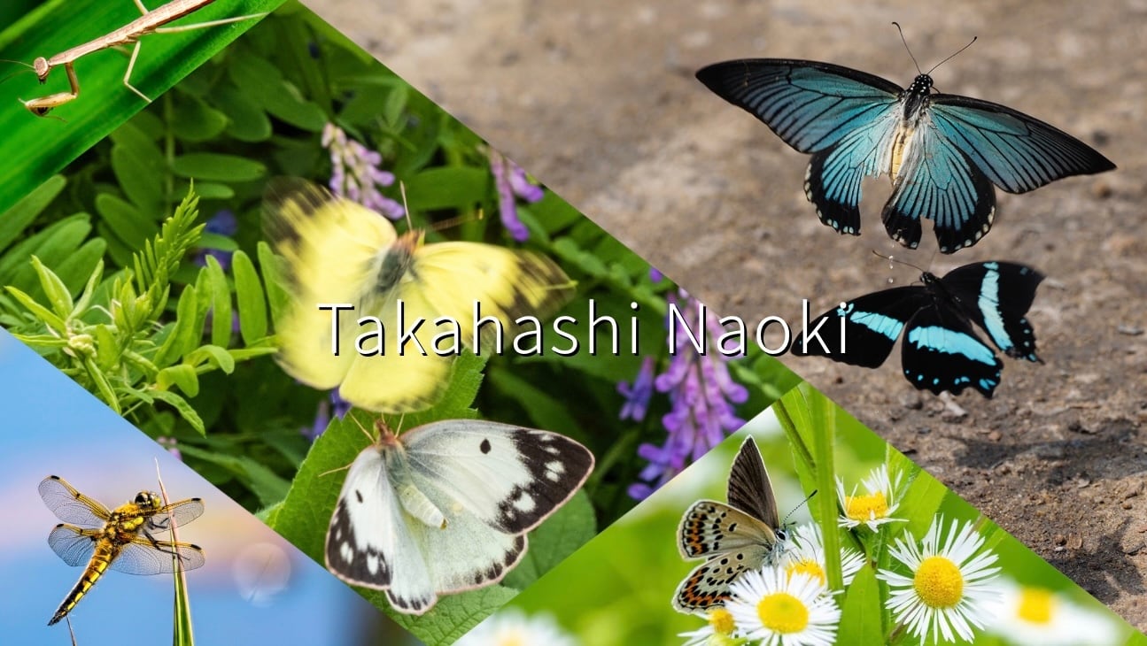 僧侶x写真家　高橋直暉　写真集販売ページ