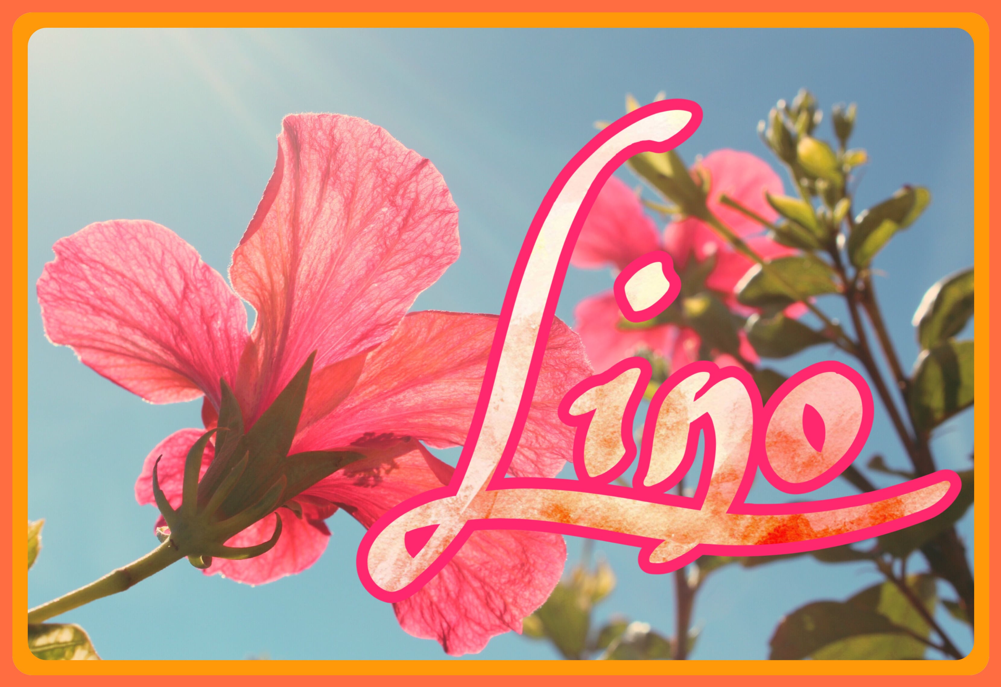 Lino